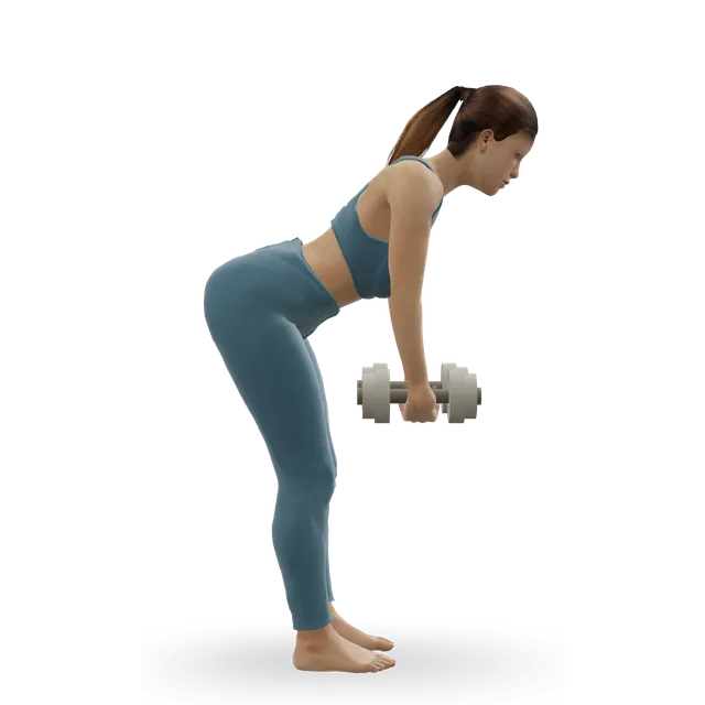 Bent-over dumbbell row, palms in demonstrated on the 3D figure