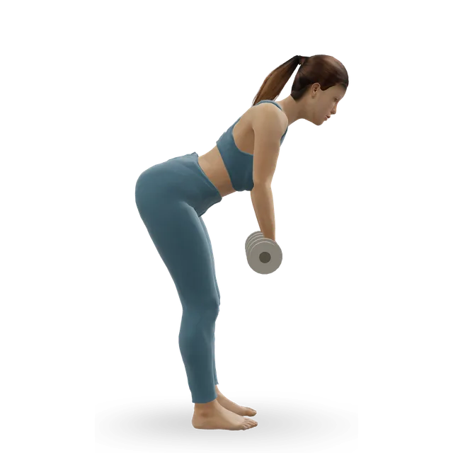 Bent-over two-dumbbell row demonstrated on the 3D figure