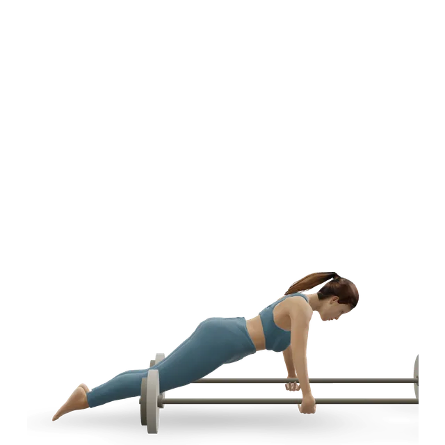Bodyweight fly on rolling bars demonstrated on the 3D figure