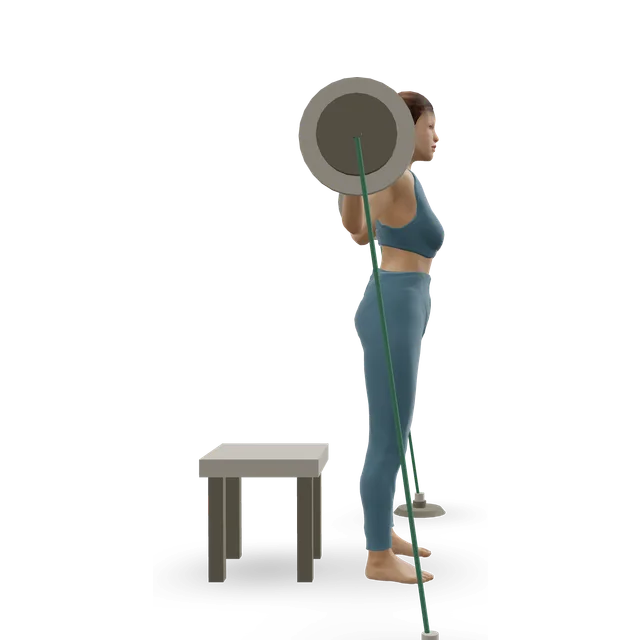 Box Squat with Bands demonstrated on the 3D figure