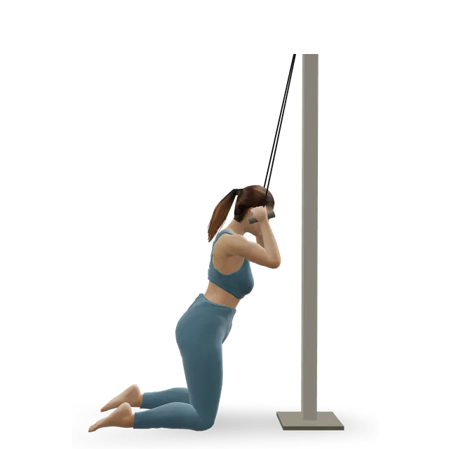 Kneeling cable crunch demonstrated on the 3D figure