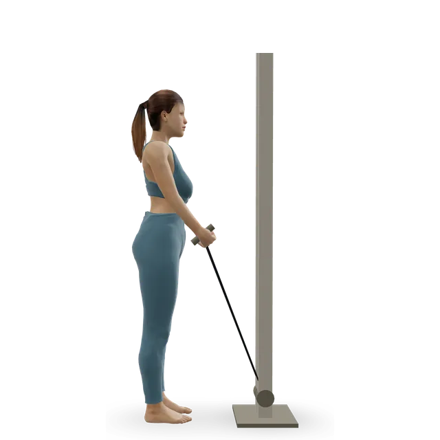 Cable rope hammer curl demonstrated on the 3D figure