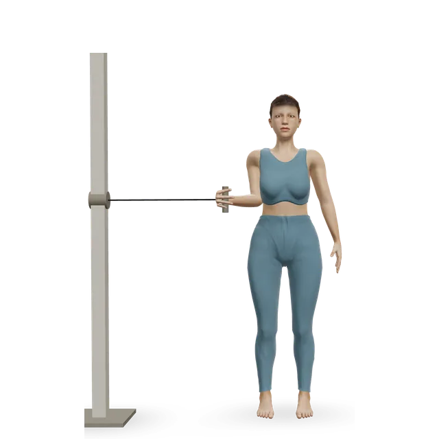 Cable internal rotation demonstrated on the 3D figure