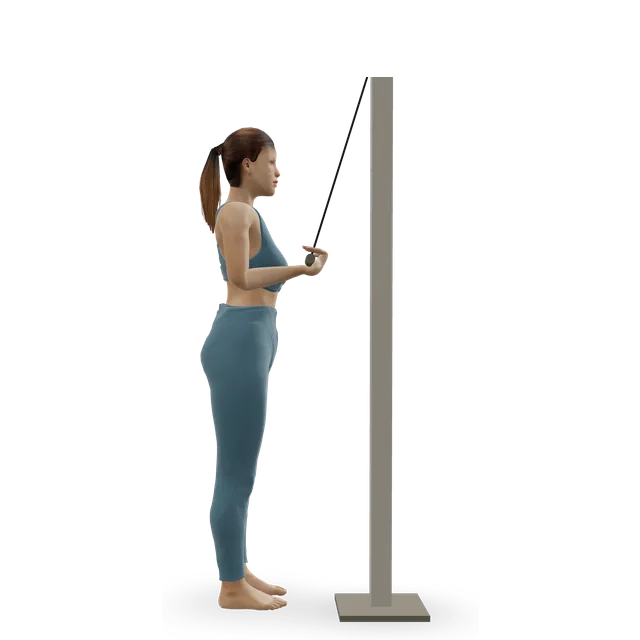 One-arm cable pushdown demonstrated on the 3D figure