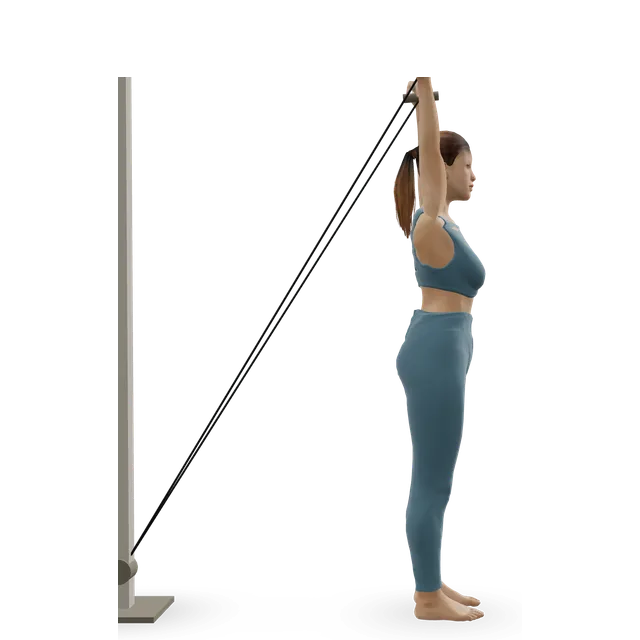 Overhead cable triceps extension demonstrated on the 3D figure