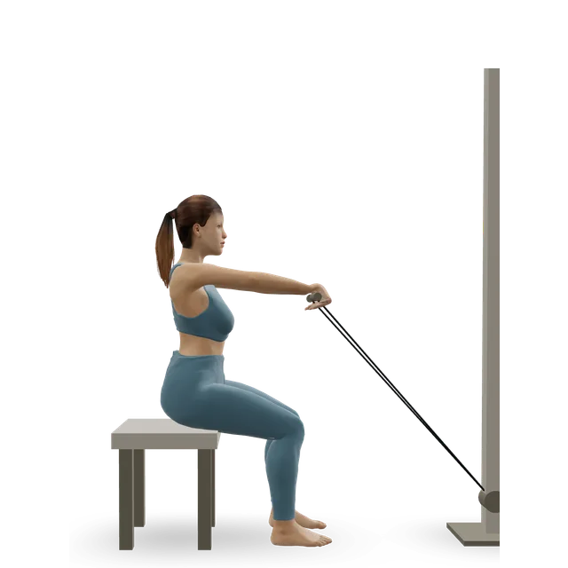 Seated rope high row demonstrated on the 3D figure