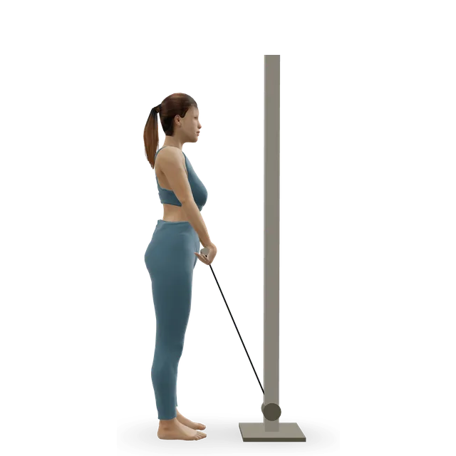 Cable Shrugs demonstrated on the 3D figure