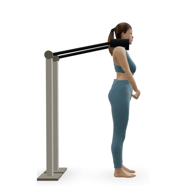 Calf-Machine Shoulder Shrug demonstrated on the 3D figure