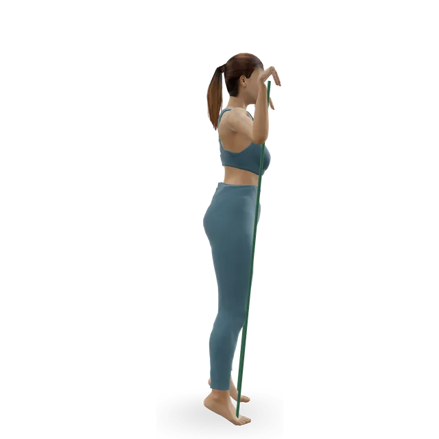 Standing calf raise with a band demonstrated on the 3D figure