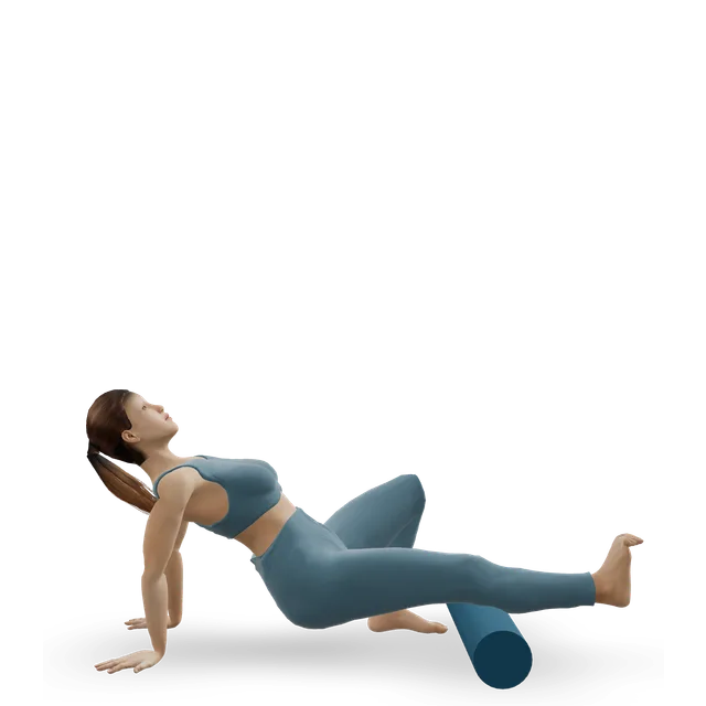 Calves-SMR demonstrated on the 3D figure