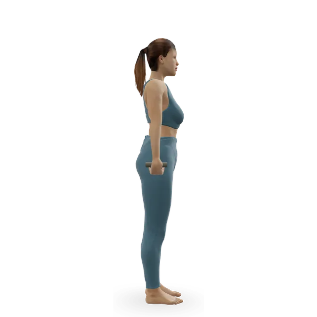 Car Deadlift demonstrated on the 3D figure