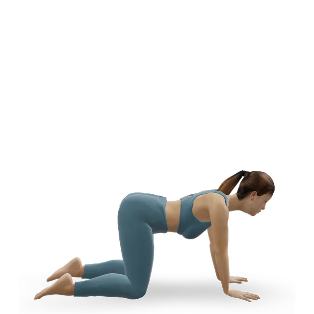 Cat Stretch demonstrated on the 3D figure