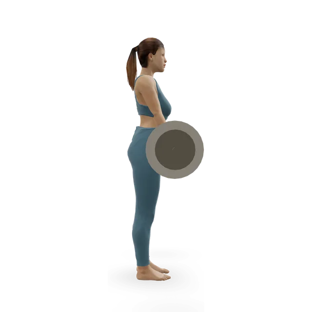 Clean deadlift demonstrated on the 3D figure