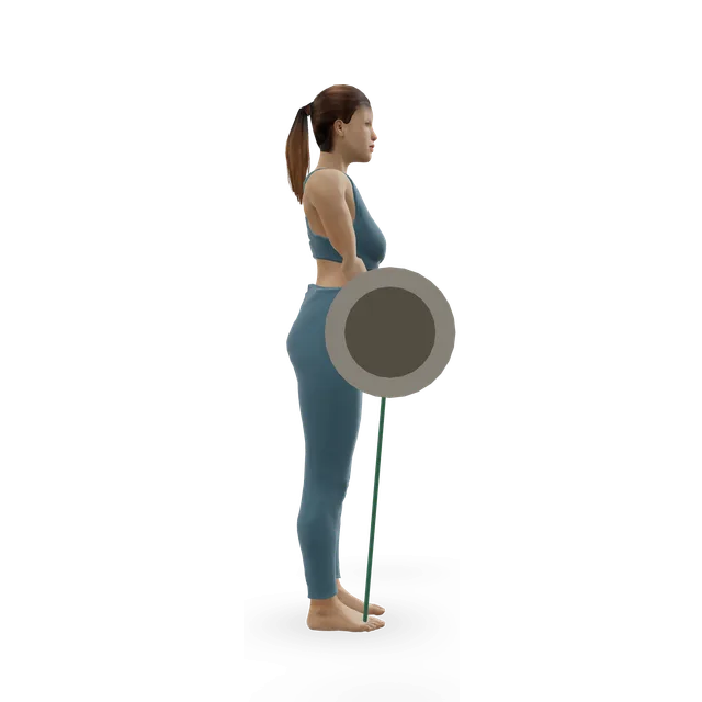 Close-grip EZ-bar curl with a band demonstrated on the 3D figure