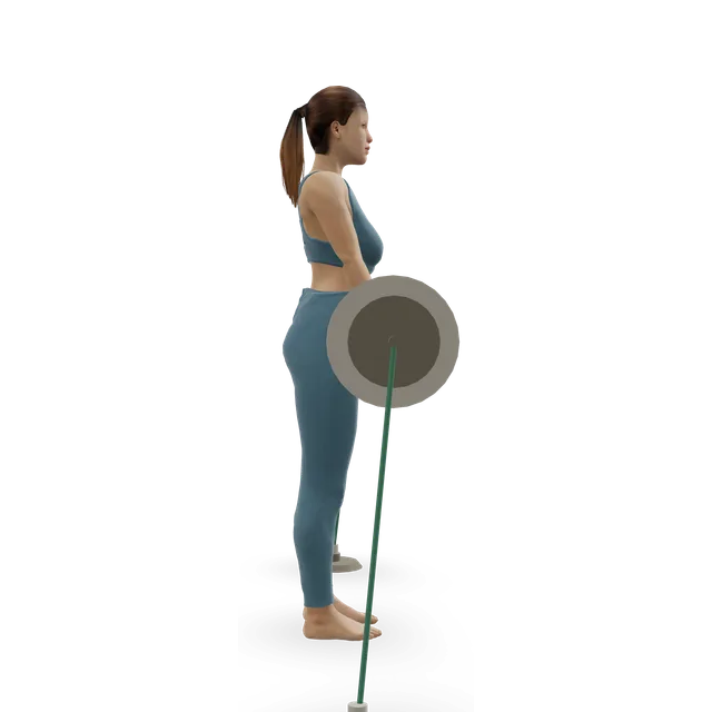 Deadlift with bands demonstrated on the 3D figure