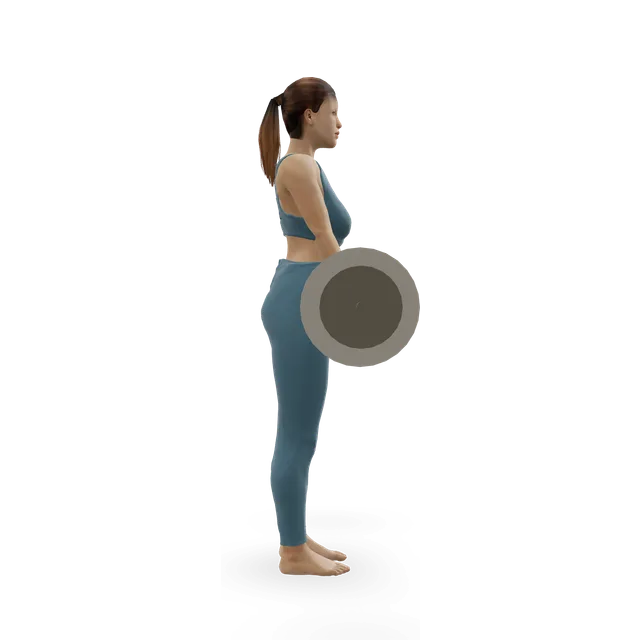 Deadlift with chains demonstrated on the 3D figure