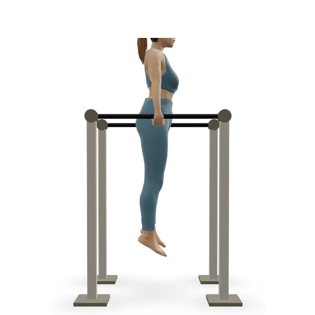 Chest dip (forward lean) demonstrated on the 3D figure