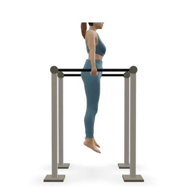 Dips - Triceps Version demonstrated on the 3D figure