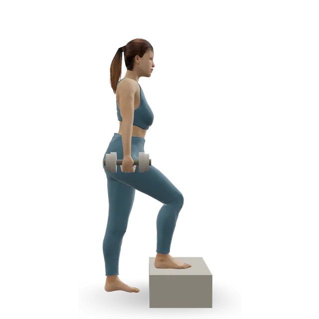 Dumbbell step-up demonstrated on the 3D figure