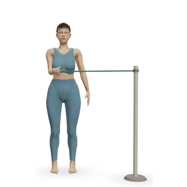 Standing band external rotation demonstrated on the 3D figure