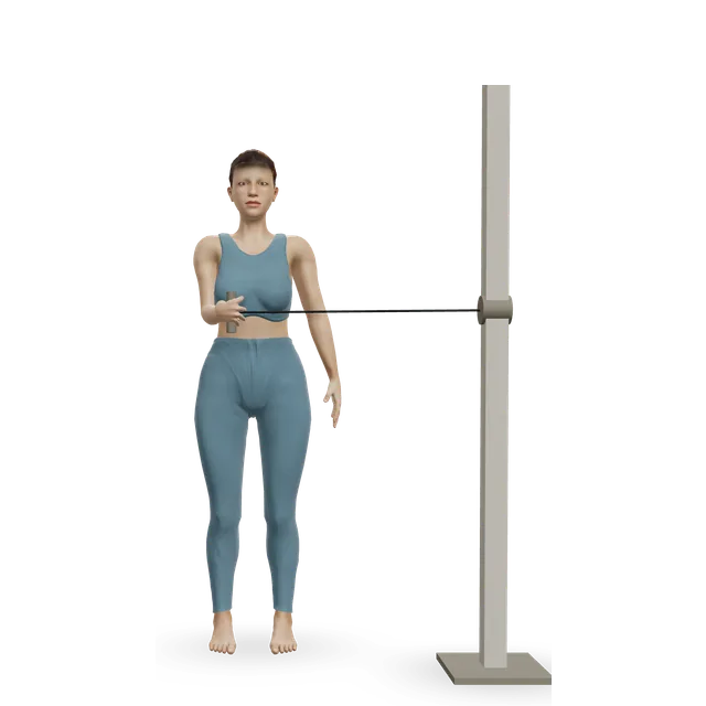 Cable external rotation demonstrated on the 3D figure