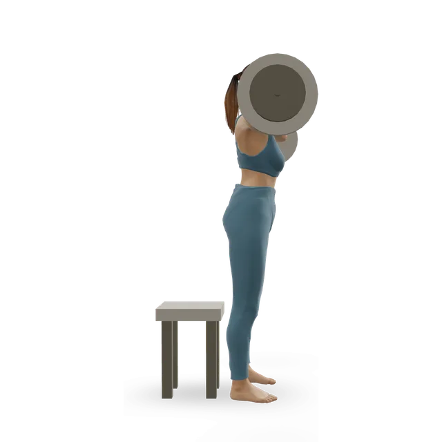Front squat to a bench demonstrated on the 3D figure