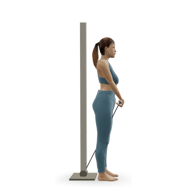 Cable front raise demonstrated on the 3D figure