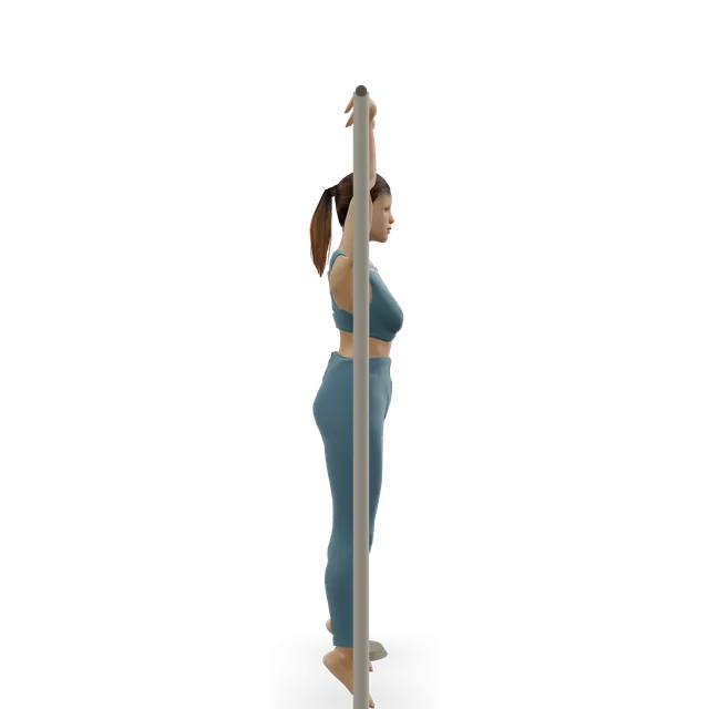 Gironda Sternum Chins demonstrated on the 3D figure