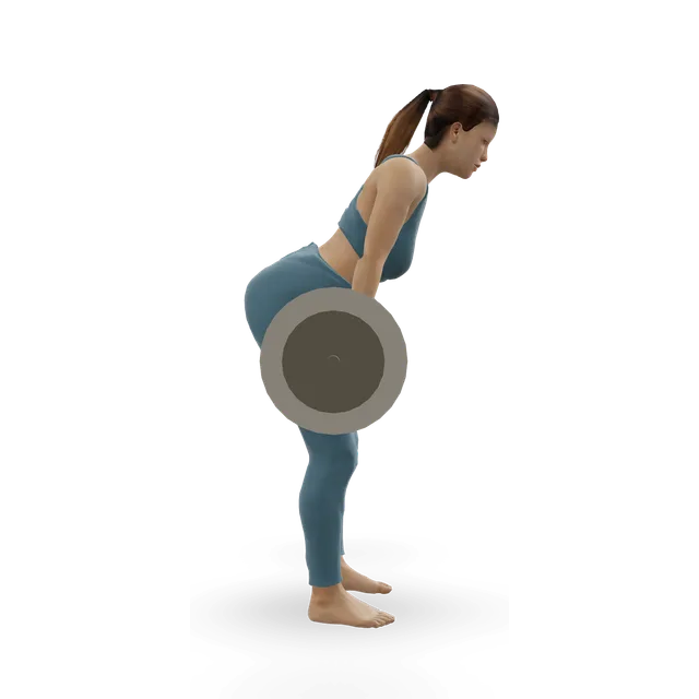 Hang clean below the knees demonstrated on the 3D figure