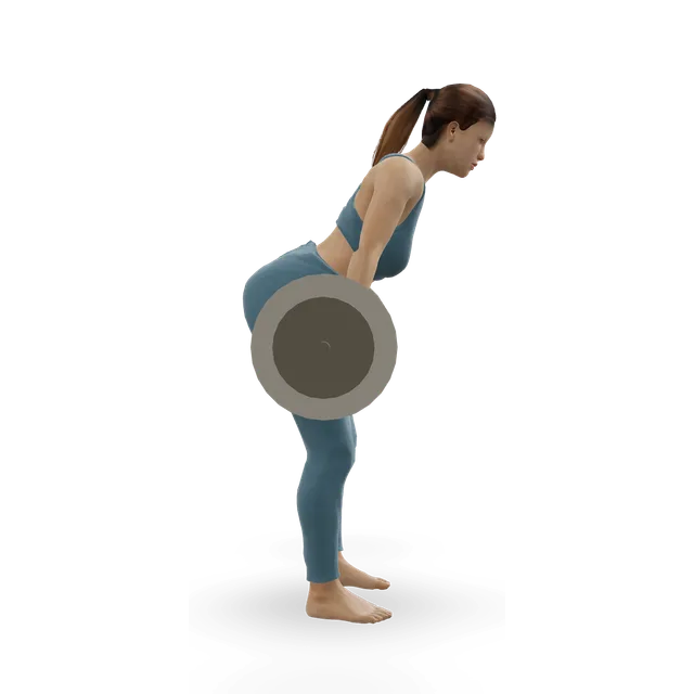 Hang snatch below the knees demonstrated on the 3D figure