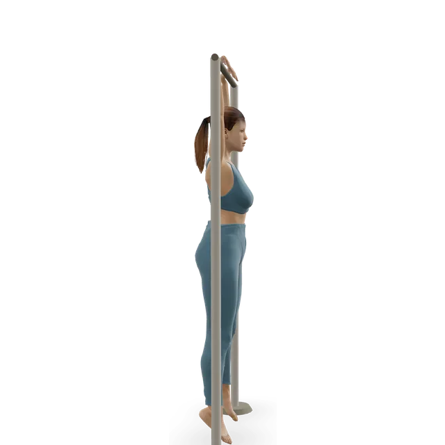 Hanging pike demonstrated on the 3D figure