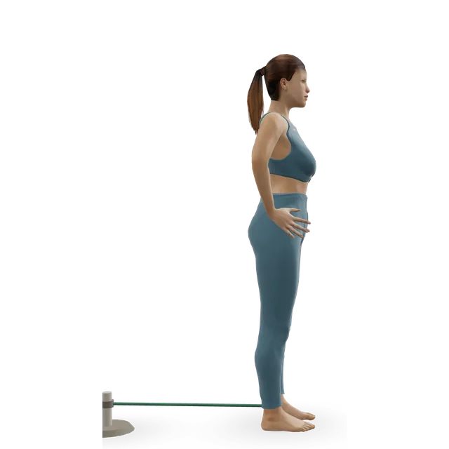 Standing band hip flexion demonstrated on the 3D figure