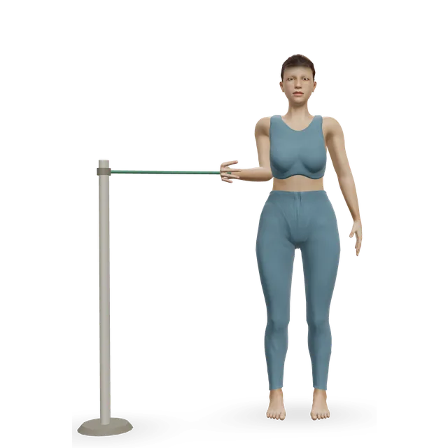 Band internal rotation demonstrated on the 3D figure
