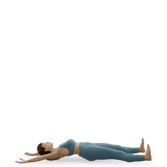 Jackknife sit-up (V-up) demonstrated on the 3D figure