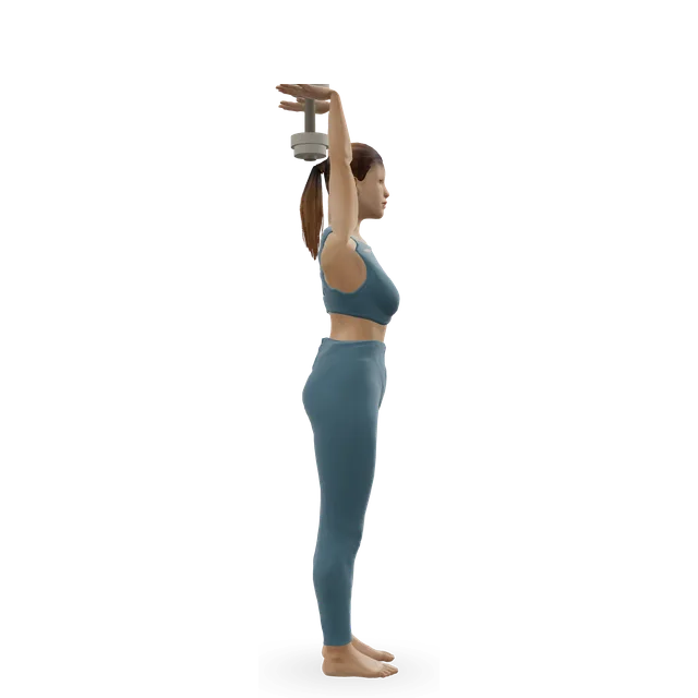 Kettlebell Overhead Triceps Extension demonstrated on the 3D figure