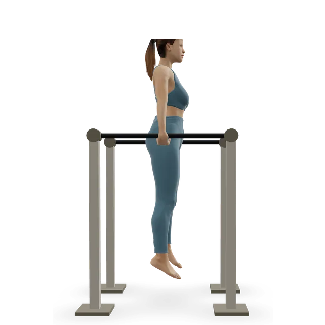 Captain's chair knee raise demonstrated on the 3D figure