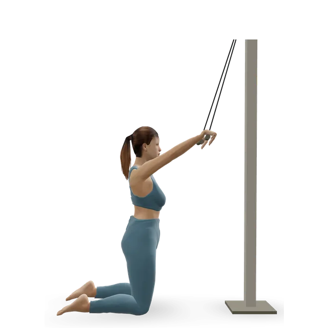 Kneeling High Pulley Row demonstrated on the 3D figure