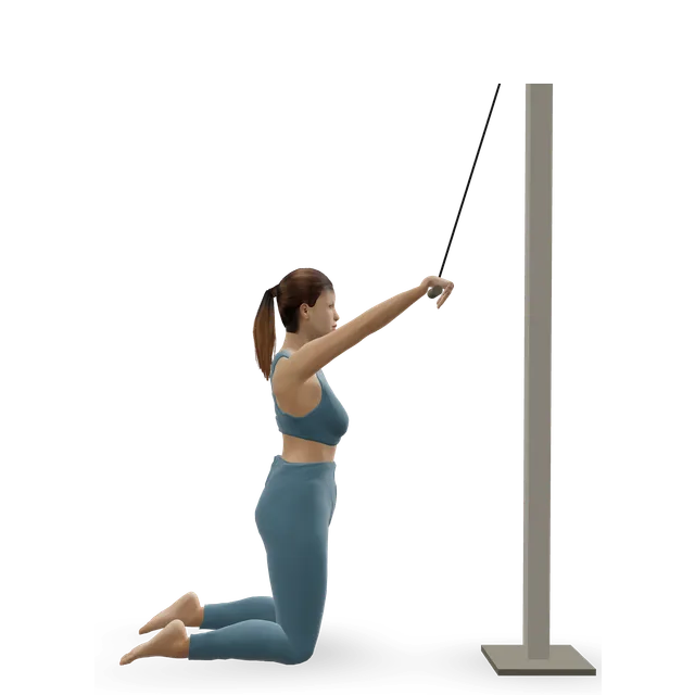 Kneeling Single-Arm High Pulley Row demonstrated on the 3D figure