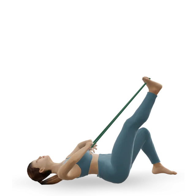 Leg-up hamstring stretch demonstrated on the 3D figure