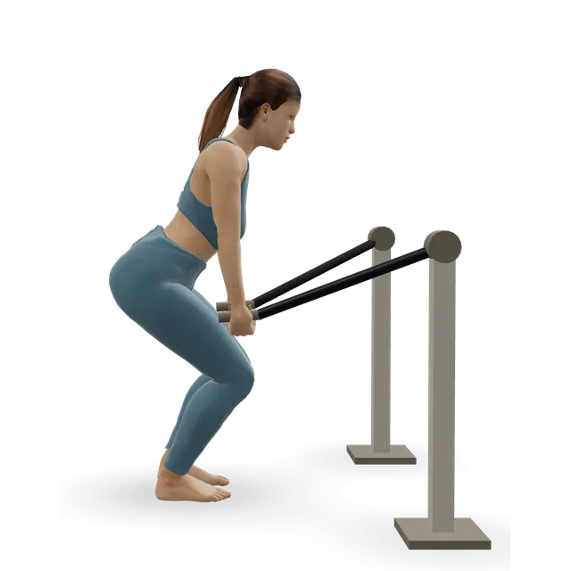 Leverage Deadlift demonstrated on the 3D figure