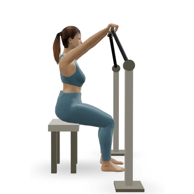 Leverage High Row demonstrated on the 3D figure