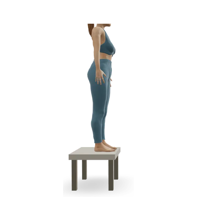 Linear Depth Jump demonstrated on the 3D figure