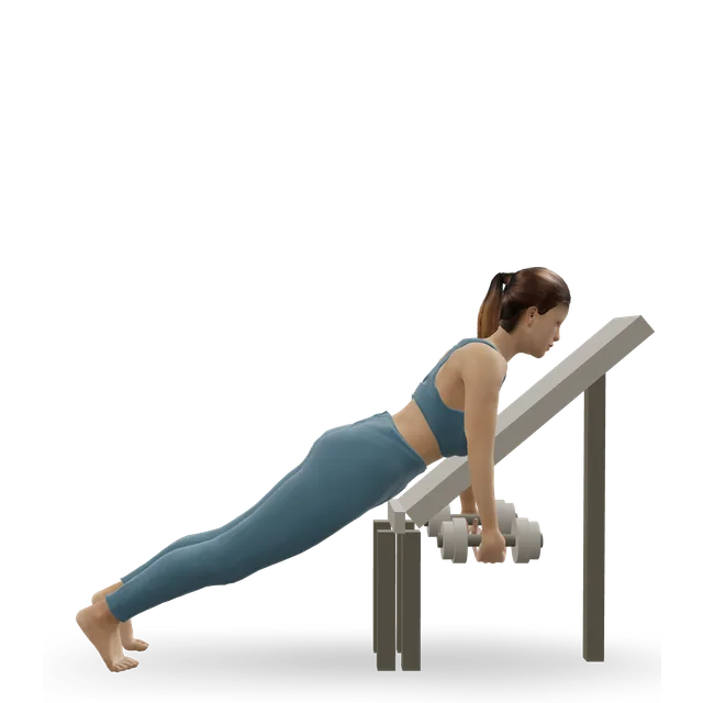 Chest-supported T-bar row demonstrated on the 3D figure