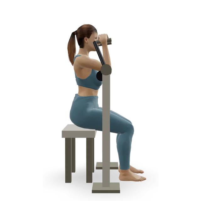 Triceps extension machine demonstrated on the 3D figure