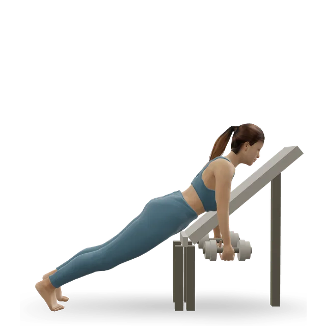 Middle Back Shrug demonstrated on the 3D figure
