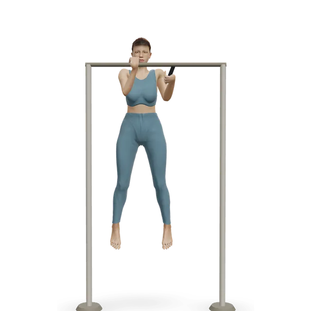 Towel one-arm chin-up demonstrated on the 3D figure