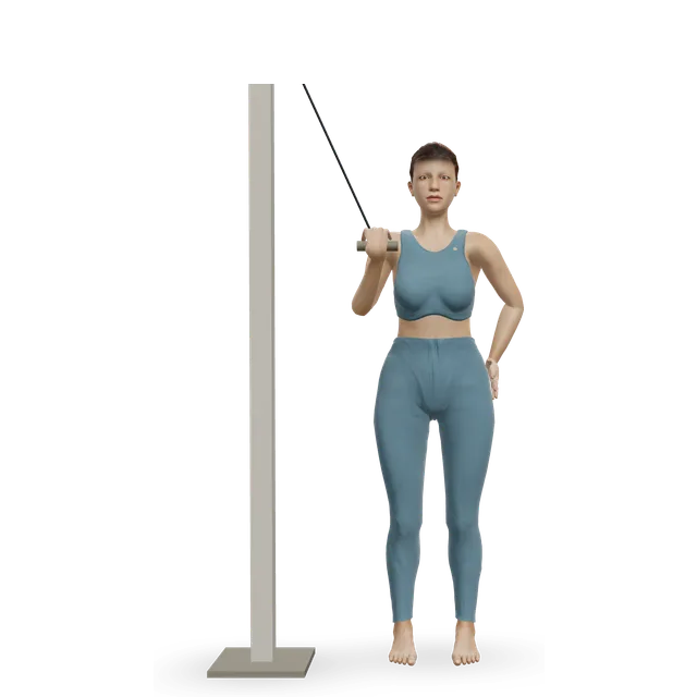 One-Arm High-Pulley Cable Side Bends demonstrated on the 3D figure