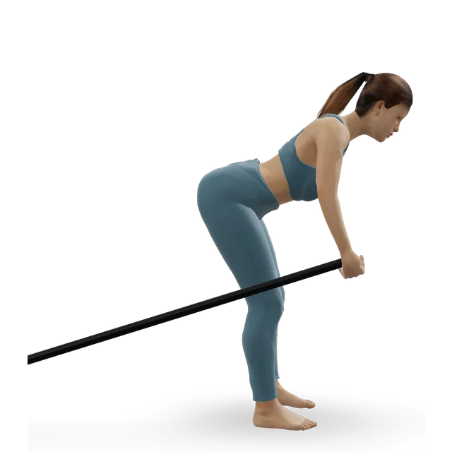 One-Arm Long Bar Row demonstrated on the 3D figure