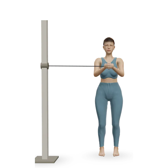 Pallof press demonstrated on the 3D figure