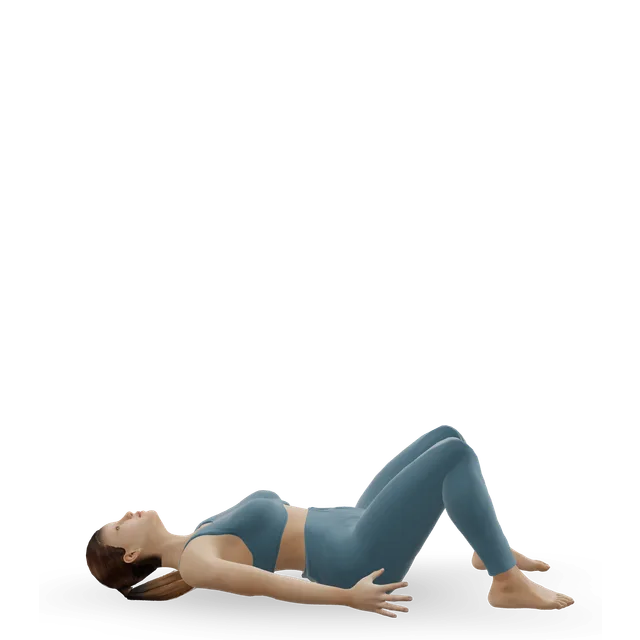 Pelvic tilt into bridge demonstrated on the 3D figure